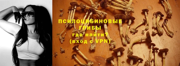 дживик Арсеньев